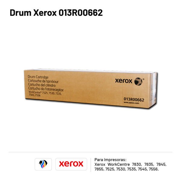 DRUM XEROX 013R00662