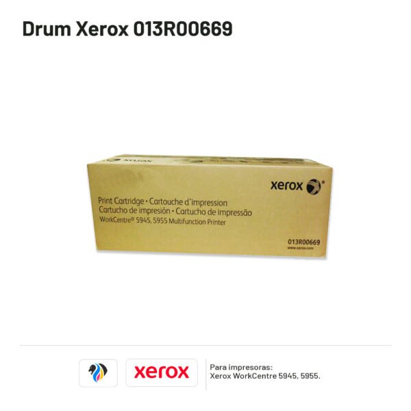 DRUM XEROX 013R00669